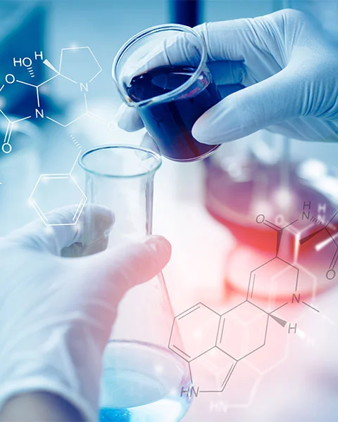 主要河川系で硫酸塩汚染が危機レベルに到達